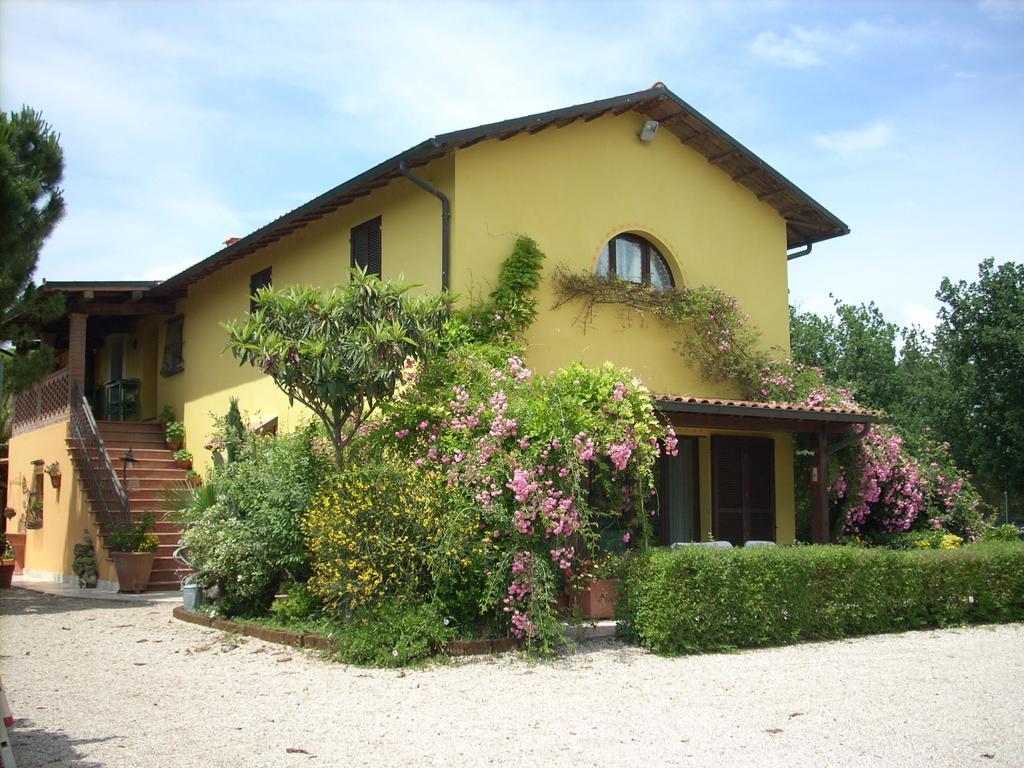 B&B Piceno Castel di Lama Eksteriør billede